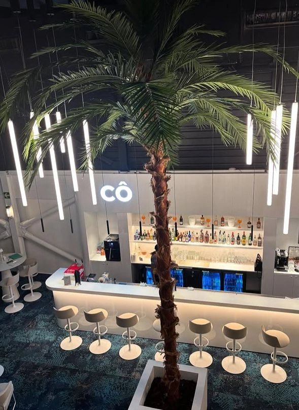 LE CÔ : UNE NOUVELLE IDENTITÉ APRÈS SIX MOIS DE TRANSFORMATION